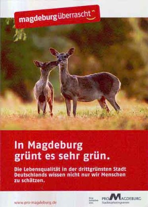 Bild: Magdeburg überrascht