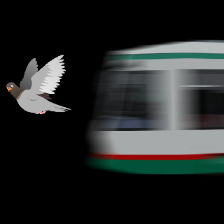 Blog-Avatarbild